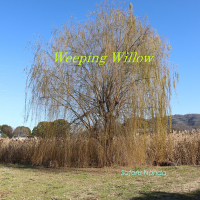 アルバム/Weeping Willow/Satoru Nanda