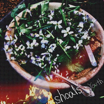 アルバム/Youth/shoals