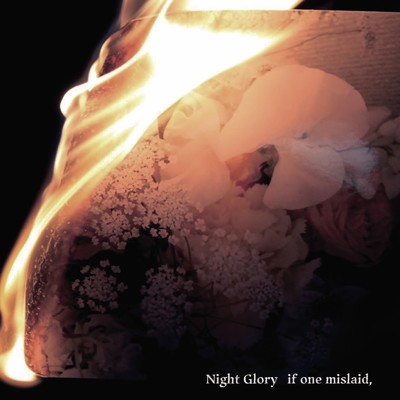 アルバム/if one mislaid,/Night Glory