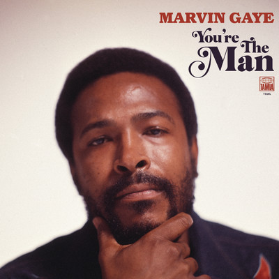 アルバム/You're The Man/Marvin Gaye