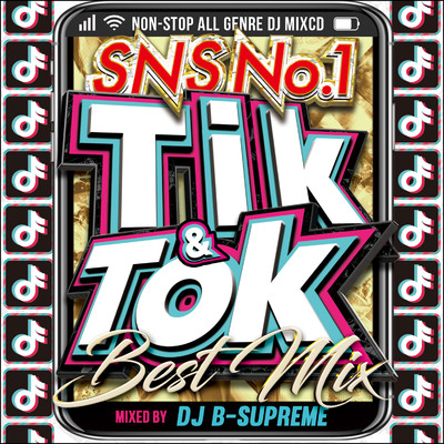 TIK & TOK -SNS NO.1 BEST MIX/DJ B-SUPREME
