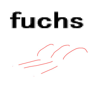 fuchs/岡柴