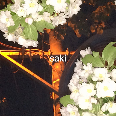 saki/fusae
