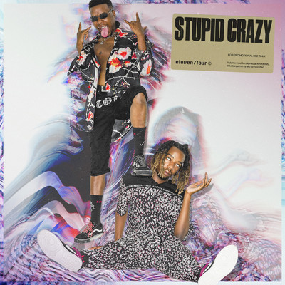 シングル/Stupid Crazy (Explicit)/eleven7four