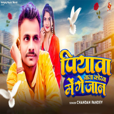 シングル/Piywa Wala Korwa Me Ge Jaan/Chandan Pandey