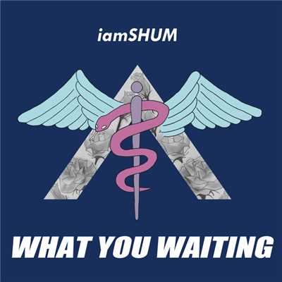 シングル/WHAT YOU WAITING/iamSHUM