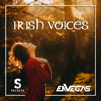 Irish Voices/DJ Selecta & Envegas