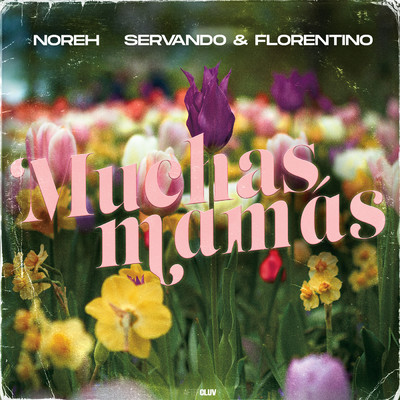 Muchas Mamas/Noreh／Servando Y Florentino