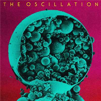 シングル/Visitation/The Oscillation