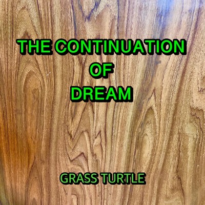THE CONTINUATION OF DREAM/GRASS TURTLE