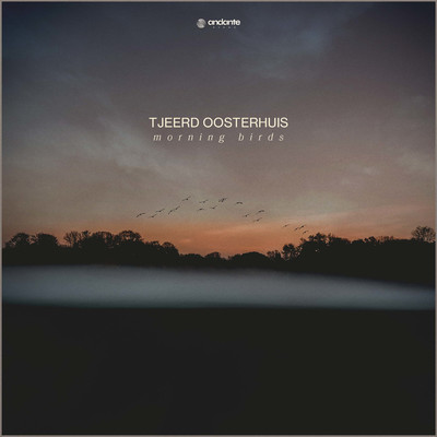 シングル/Morning Birds/Tjeerd Oosterhuis