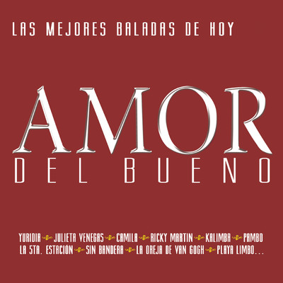 Amor Del Bueno 2/Various Artists