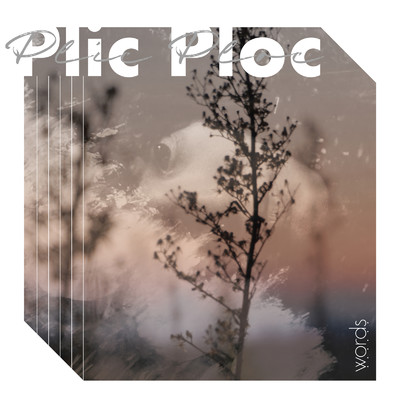 reaction/Plic Ploc