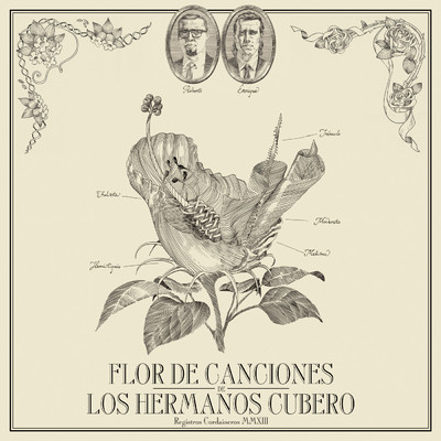 Flor De Canciones/Los Hermanos Cubero