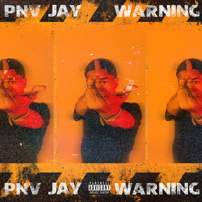 Warning/PNV Jay