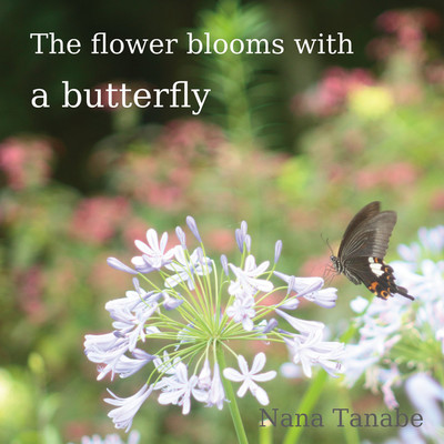 The flower blooms with a butterfly/田辺 奈々