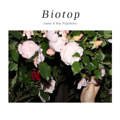 アルバム/Biotop/zama