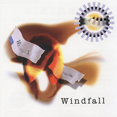 Windfall/Instrumental Society