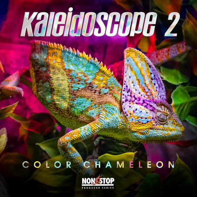 Kaleidoscope 2: Color Chameleon/Chase Ryan Taylor