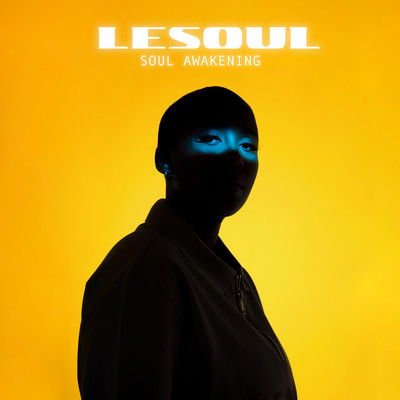 シングル/Turmoil/DJ LeSoul