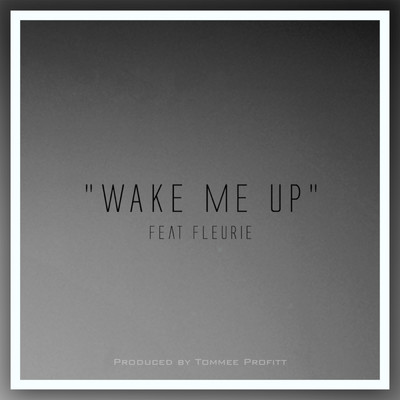 Wake Me Up/Tommee Profitt
