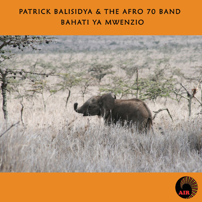 アルバム/Bahati Ya Mwenzio/Patrick Balisidya & Afro 70 Band