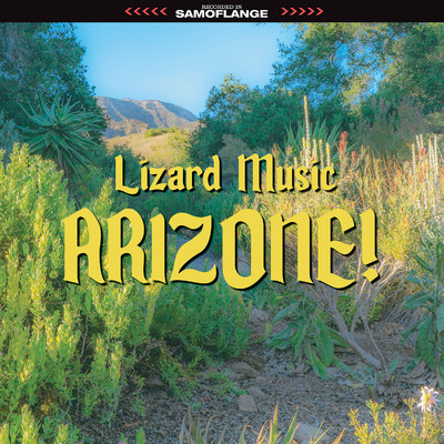 Arizone！/Lizard Music