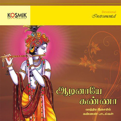 アルバム/Aadinaye Kanna - Songs On Lord Krishna Instrumental/Oothukadu Venkata Subbaiyer