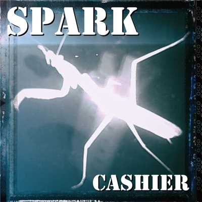 Spark/Cashier