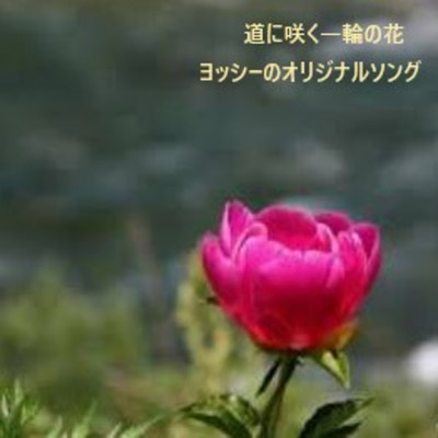 シングル/道に咲く一輪の花/ヨッシーのオリジナルソング