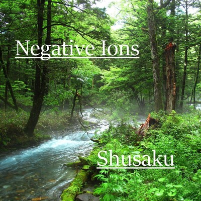 シングル/Negative Ions/Shusaku