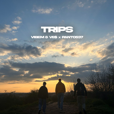 Trips/VibeM／Ve$／Panto537