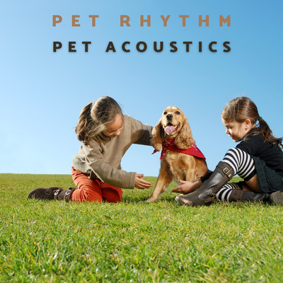 シングル/Pet Rhythm/Pet Acoustics