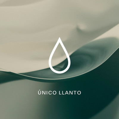 シングル/Unico llanto/Angel Orino
