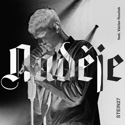 Nadeje (feat. Vaclav Roucek)/STEIN27