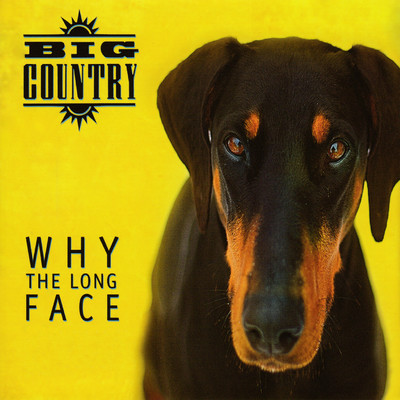 アルバム/Why the Long Face (Bonus Tracks & Demos)/Big Country