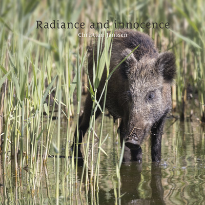 シングル/Radiance and innocence/Christian Janssen