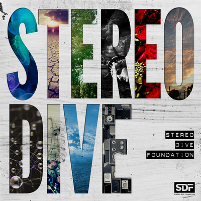 アルバム/STEREO DIVE/STEREO DIVE FOUNDATION