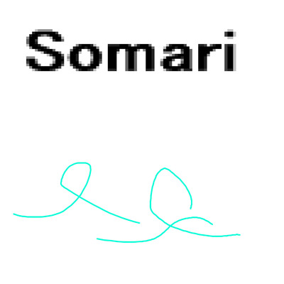 Somari/岡柴