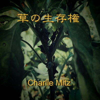 草の生存権/Charlie Mitz