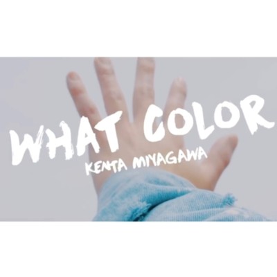 シングル/WHAT COLOR/KENTA MIYAGAWA