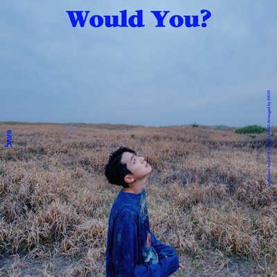 Would You？/DAVII