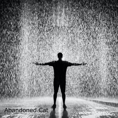 シングル/Rainy Days/Abandoned Cat