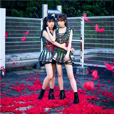 Pinky！ Pinky！ 通常盤/The Idol Formerly Known As LADYBABY