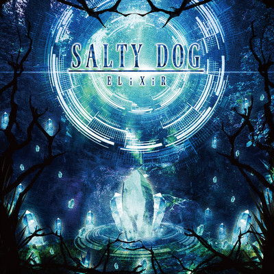 Screams Within/SALTY DOG
