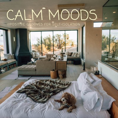 Calm Moods 〜 毎日を前向きに過ごすためのJazzy House Selection 〜/Cafe lounge resort