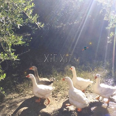 アルバム/XIEXIE/xiexie