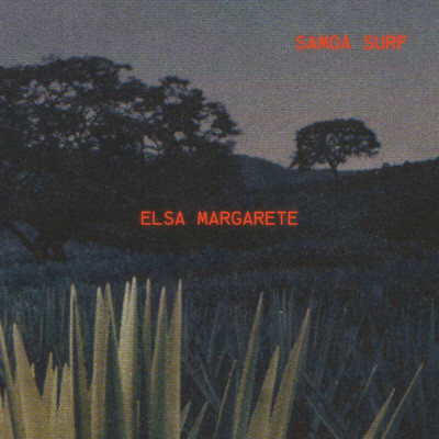 Funky frog/Elsa Margarete