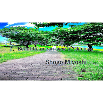アルバム/ボクの夢はキミの夢/Shogo Miyoshi