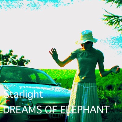 White vines/DREAMS OF ELEPHANT